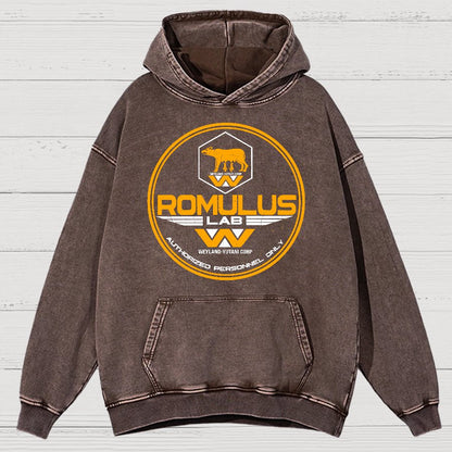 Aurora Lab Vintage Distressed Hoodie
