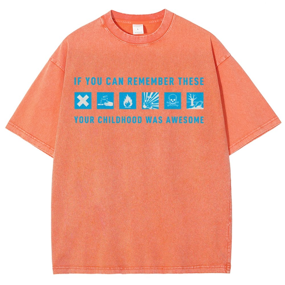 If You Can Remember These Your Childhood Was Awesome Vintage Distressed T-shirt