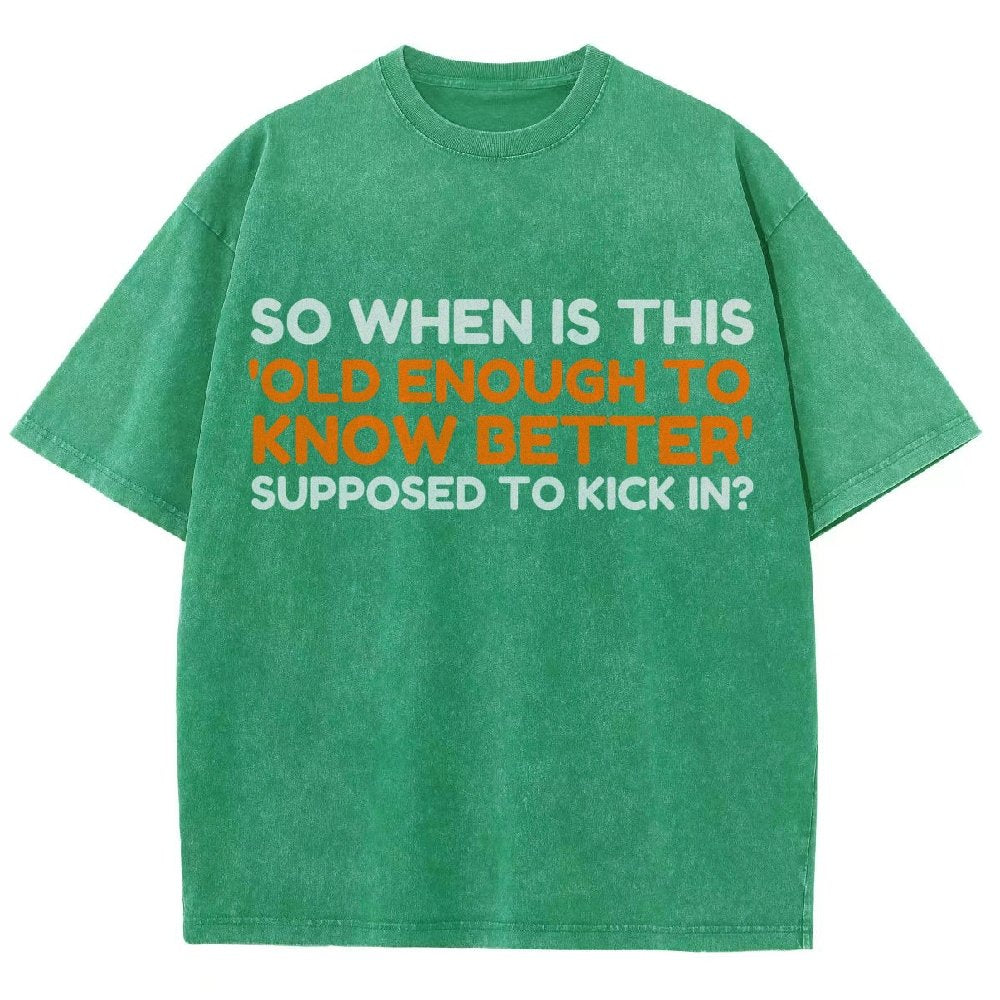 Old Enough To Know Better Vintage Distressed T-shirt