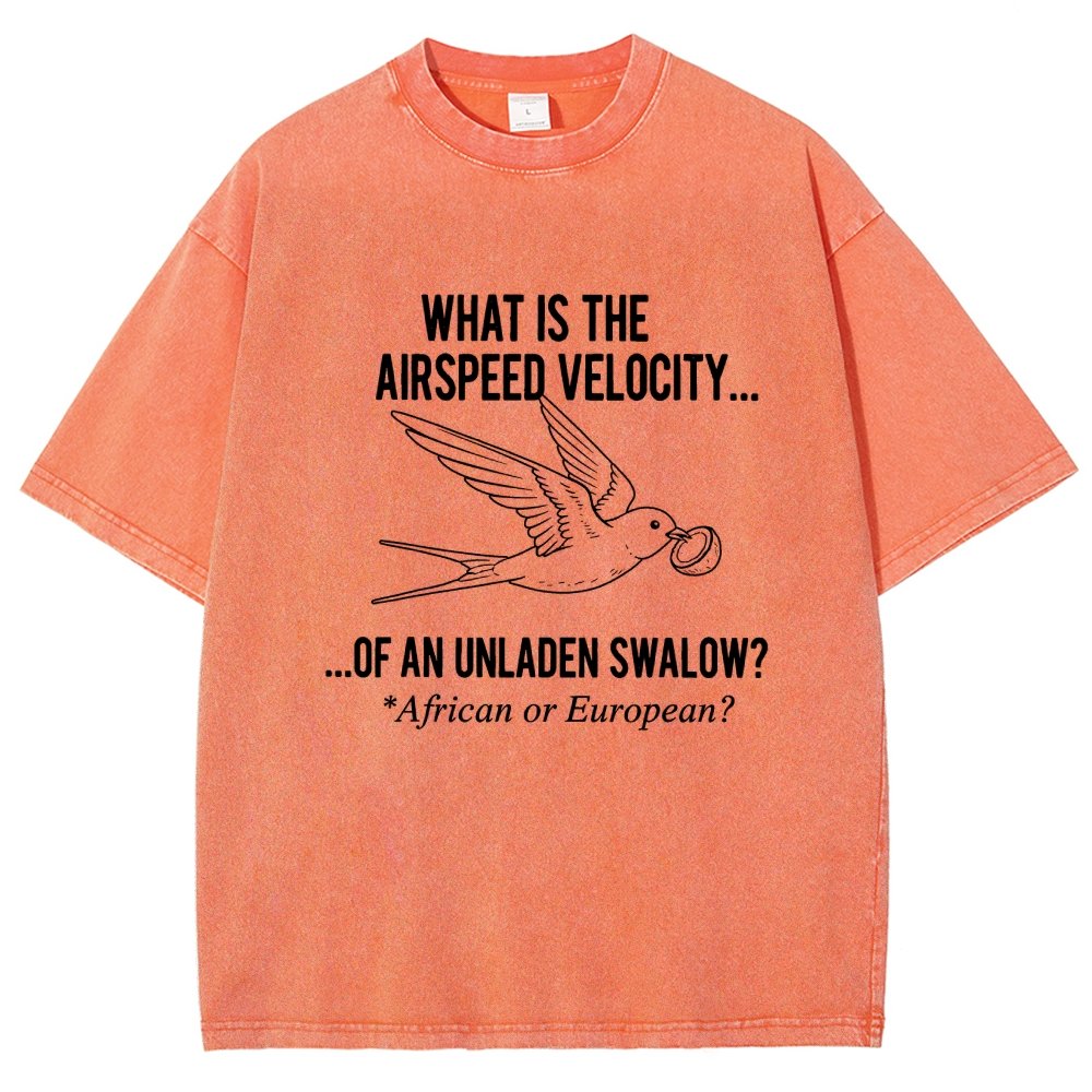 What Is The Airspeed Velocity...Art Print Vintage Distressed T-shirt