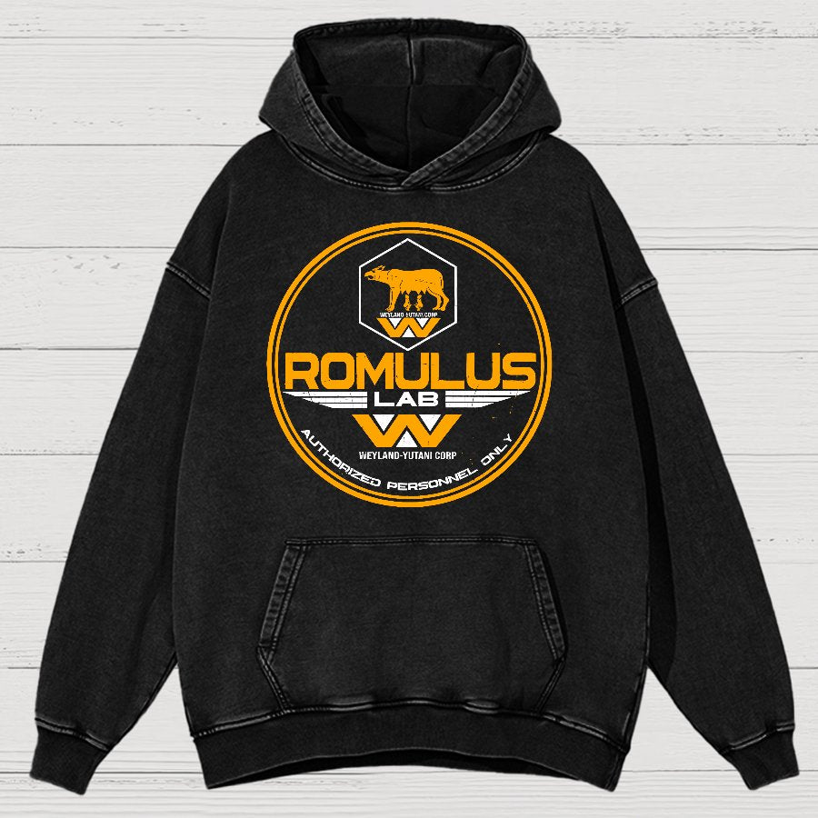 Aurora Lab Vintage Distressed Hoodie