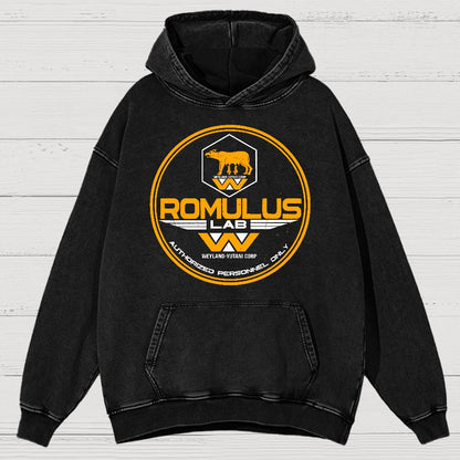 Aurora Lab Vintage Distressed Hoodie