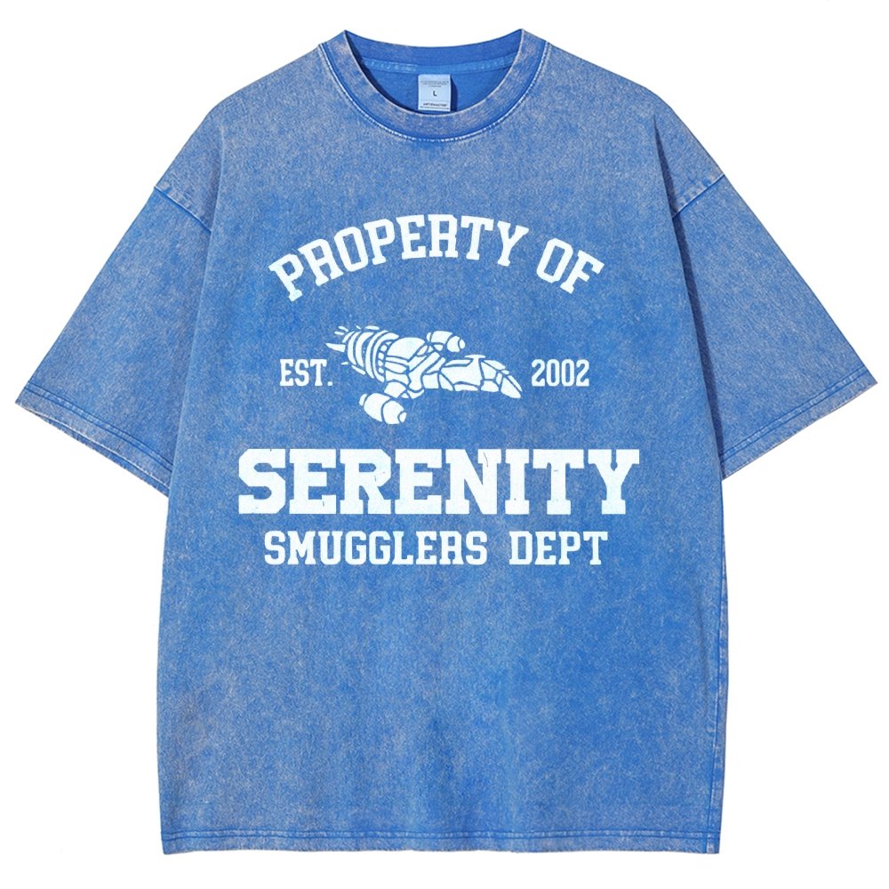 Property of Starlight Vintage Distressed T-shirt