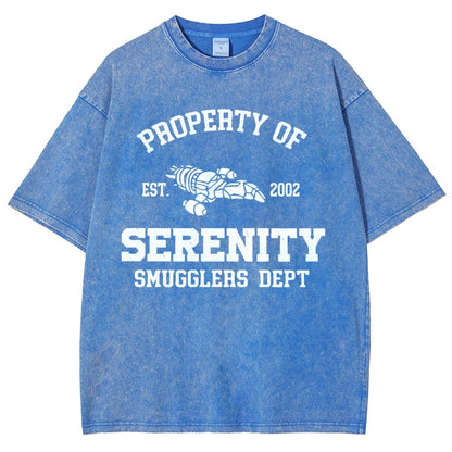 Property of Starlight Vintage Distressed T-shirt