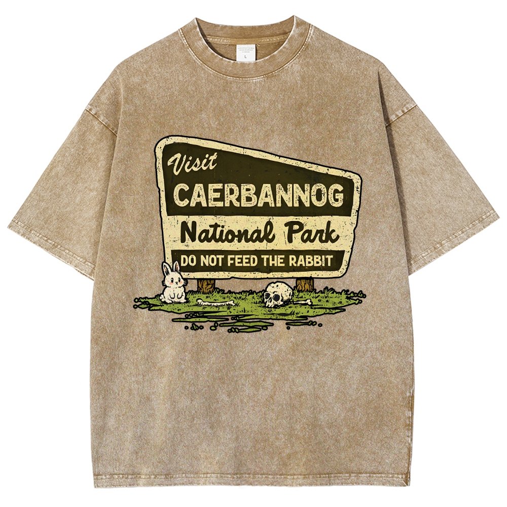 Mystic Valley National Park Vintage Distressed T-shirt