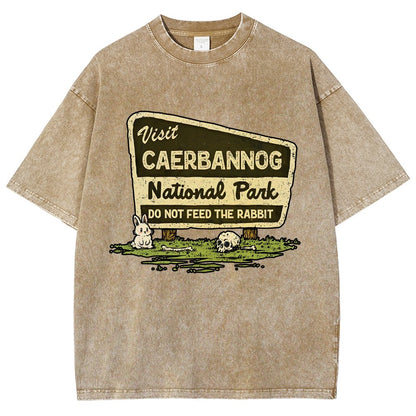 Mystic Valley National Park Vintage Distressed T-shirt