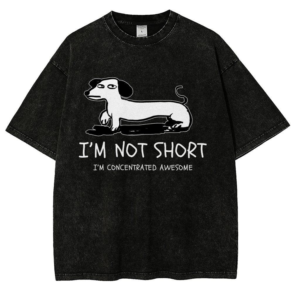 I'm Not Short Vintage Distressed T-shirt