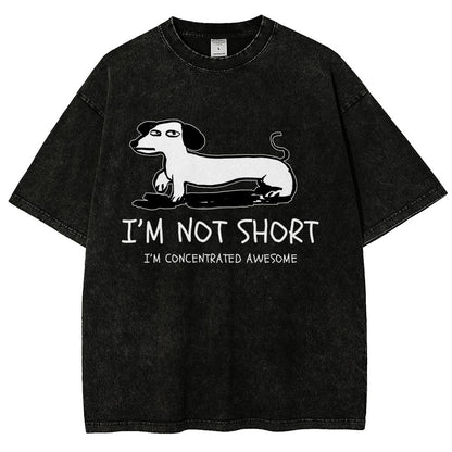 I'm Not Short Vintage Distressed T-shirt