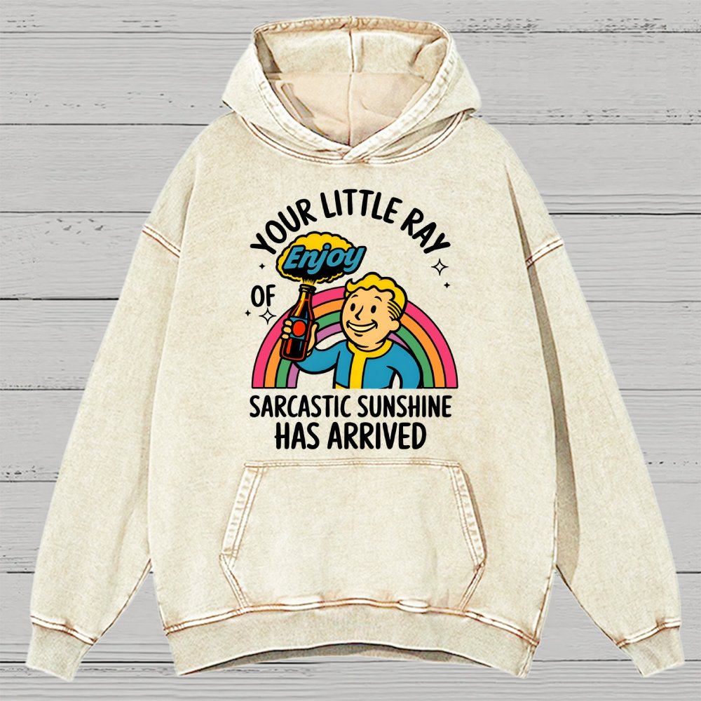 Your Little Ray Of Sarcastic Sunshine Has Arrived Vintage Distressed Hoodie