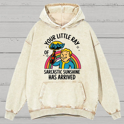Your Little Ray Of Sarcastic Sunshine Has Arrived Vintage Distressed Hoodie