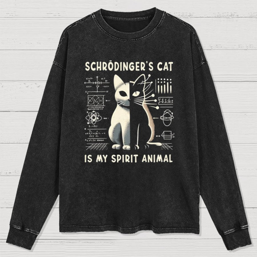 Schrodinger's Сat Science Washed Long Sleeve Tee