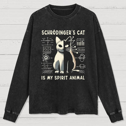 Schrodinger's Сat Science Washed Long Sleeve Tee