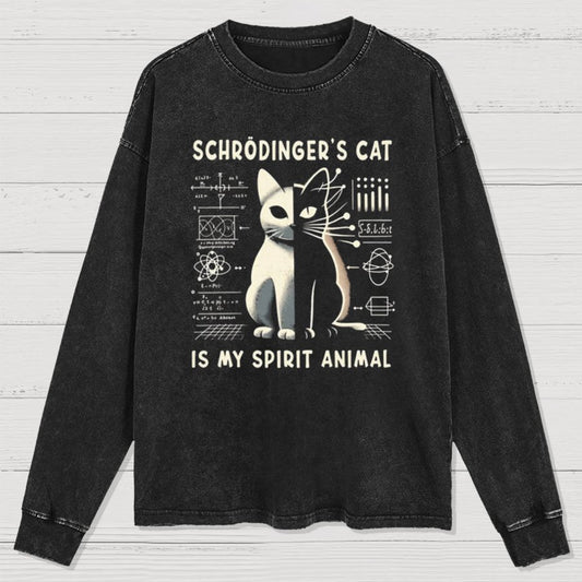 Schrodinger's Сat Science Washed Long Sleeve Tee