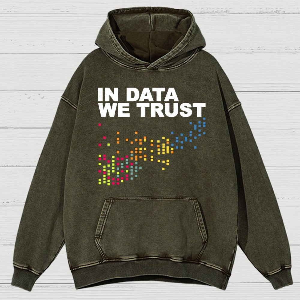 In Big Data We Trust Vintage Distressed Hoodie