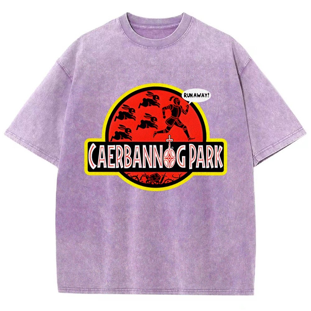 Greenwood Park Vintage Distressed T-shirt