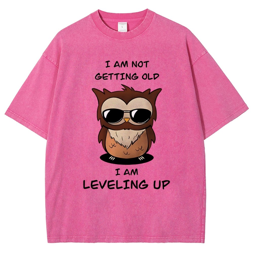 Leveling Up Vintage Distressed T-shirt