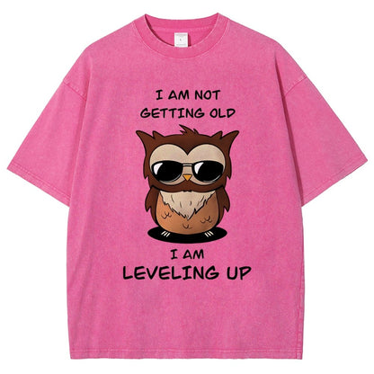 Leveling Up Vintage Distressed T-shirt