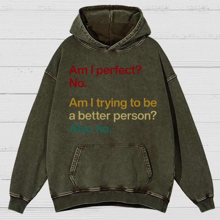 Am I Perfect ？No.Vintage Distressed Hoodie