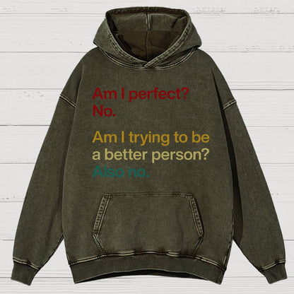 Am I Perfect ？No.Vintage Distressed Hoodie