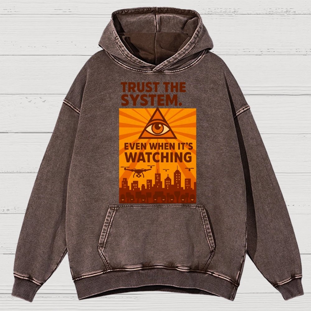 Trust The System - Dystopian Surveillance Vintage Distressed Hoodie
