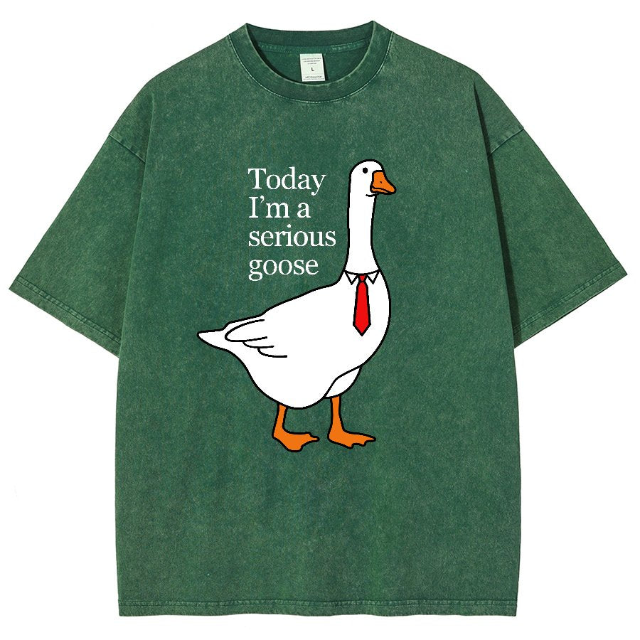 Today I'm A Serious Goose Vintage Distressed T-shirt