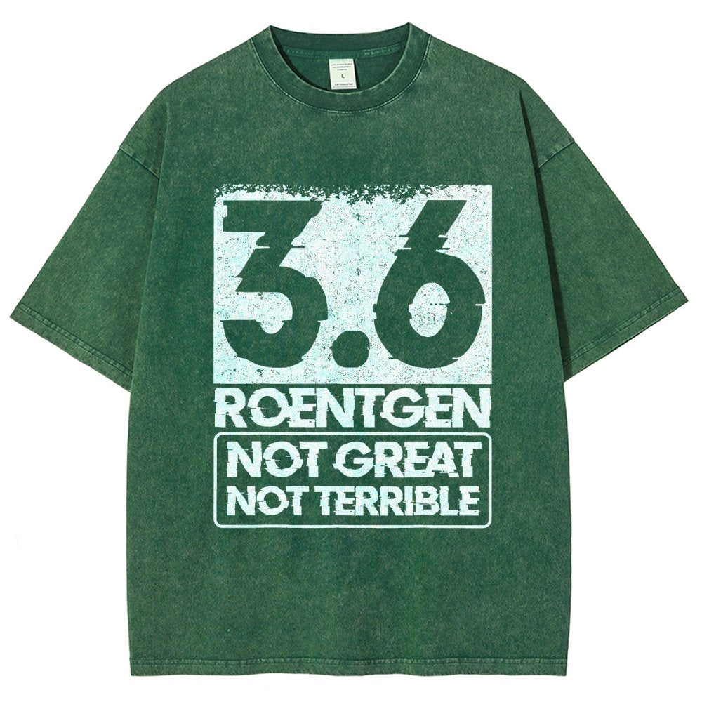 3.6 Roentgen Not Great Not Terrible Vintage Distressed T-shirt