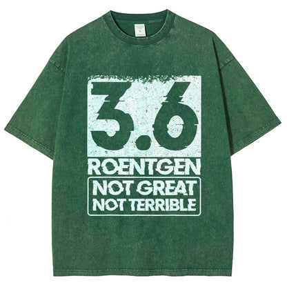 3.6 Roentgen Not Great Not Terrible Vintage Distressed T-shirt