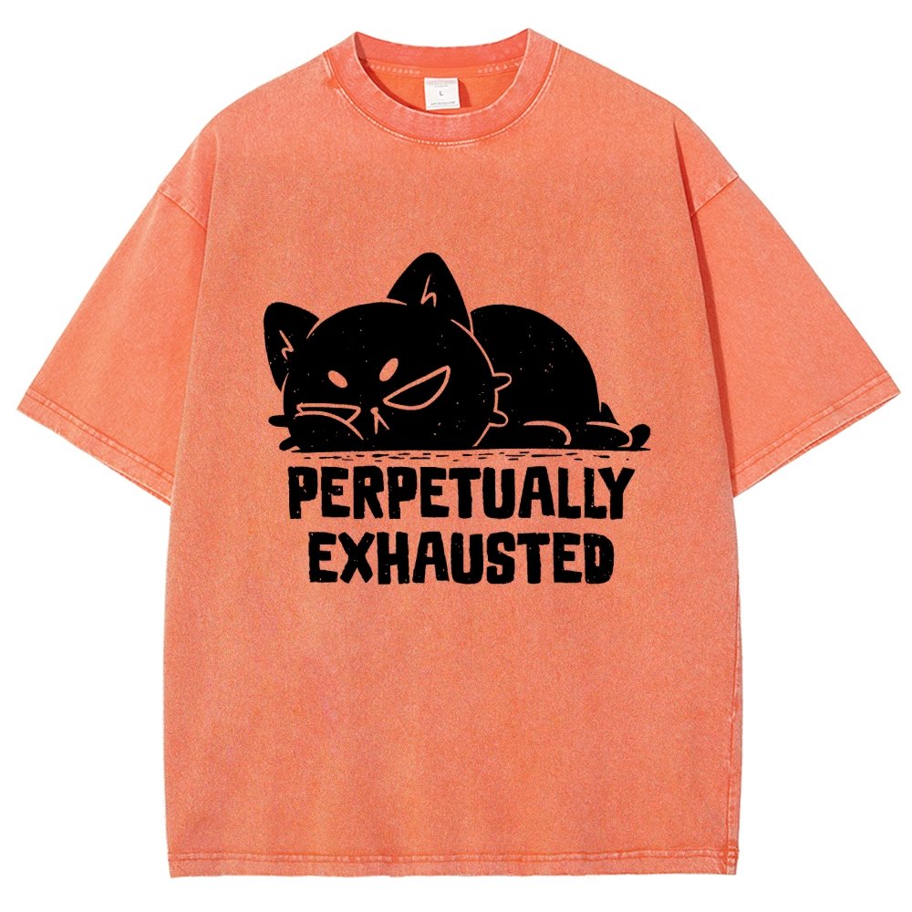 Perpetually Exhausted Cat Vintage Distressed T-shirt