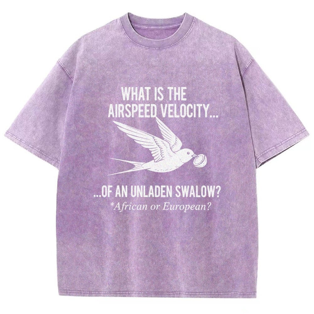What Is The Airspeed Velocity...Art Print Vintage Distressed T-shirt