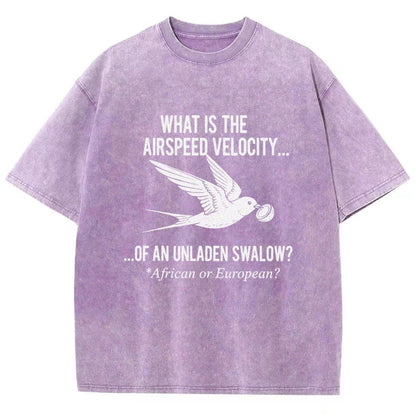 What Is The Airspeed Velocity...Art Print Vintage Distressed T-shirt