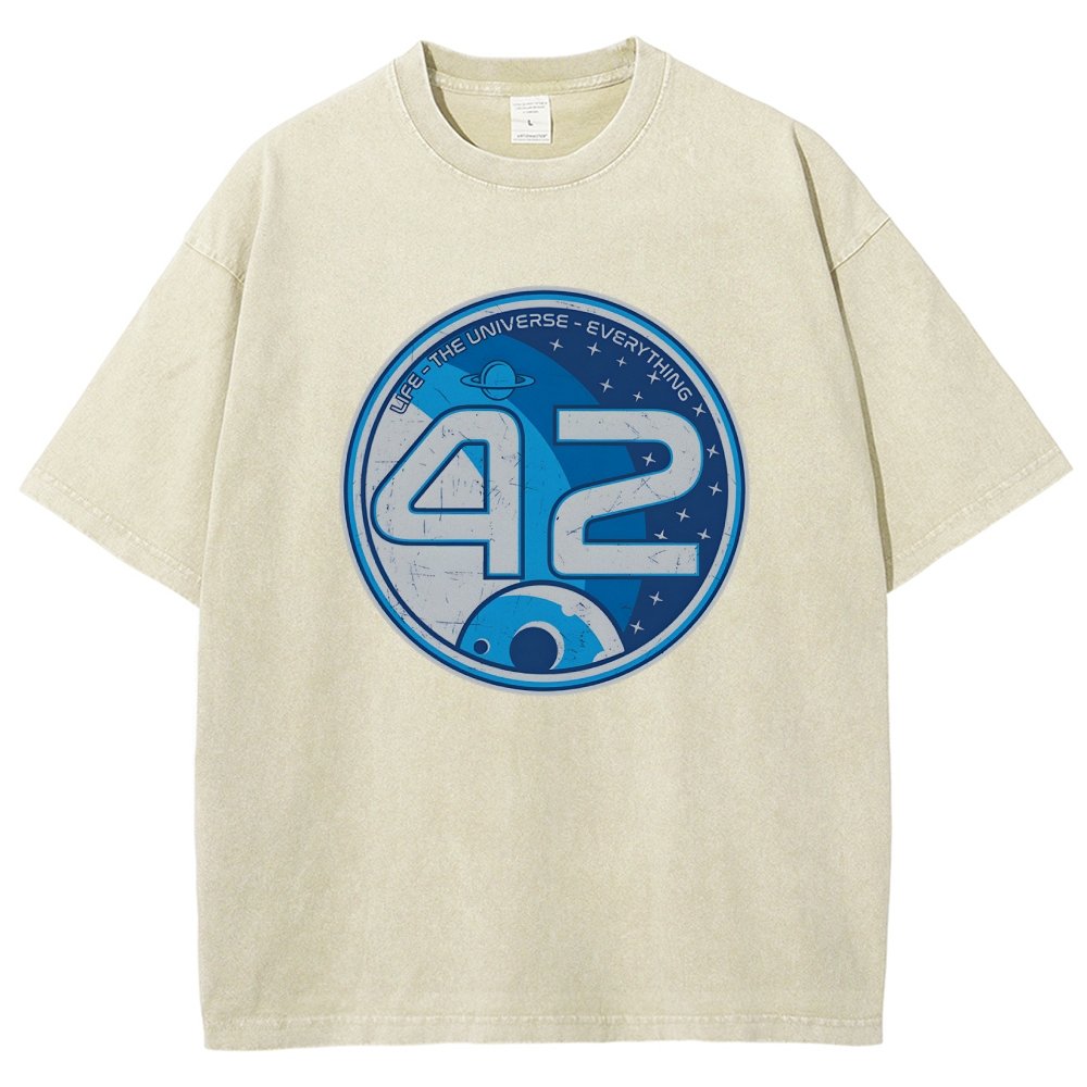 42- The Answer Vintage Distressed T-shirt