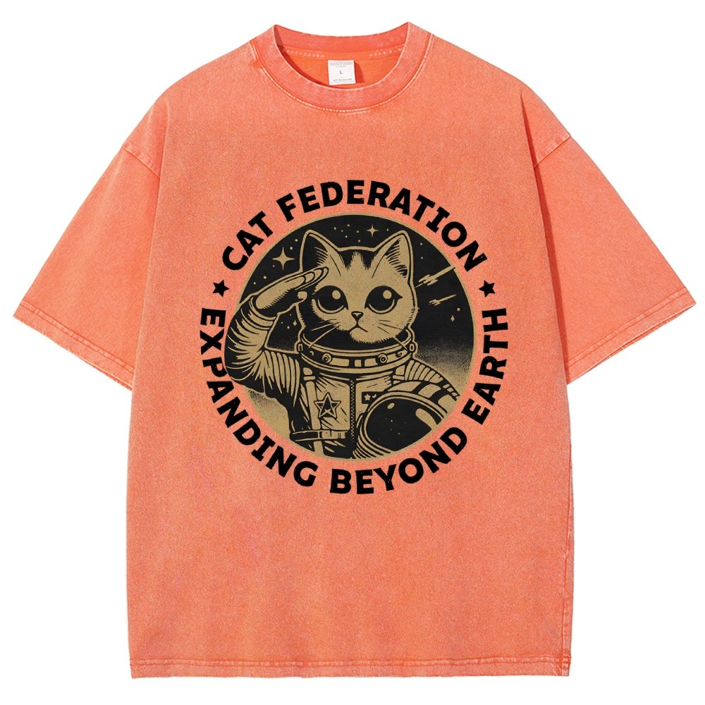 Universal Domination Vintage Distressed T-shirt