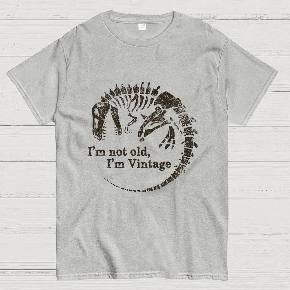 I'm Not Old I'm Vintage Geek T-Shirt