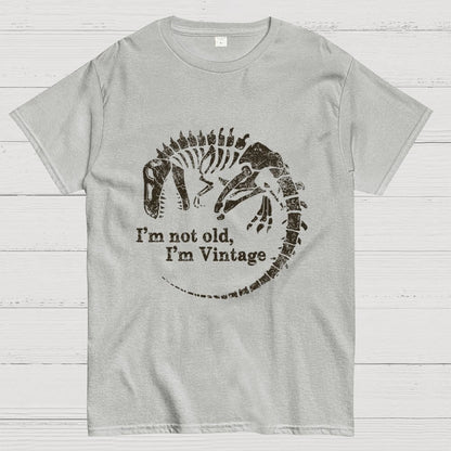 I'm Not Old I'm Vintage Geek T-Shirt