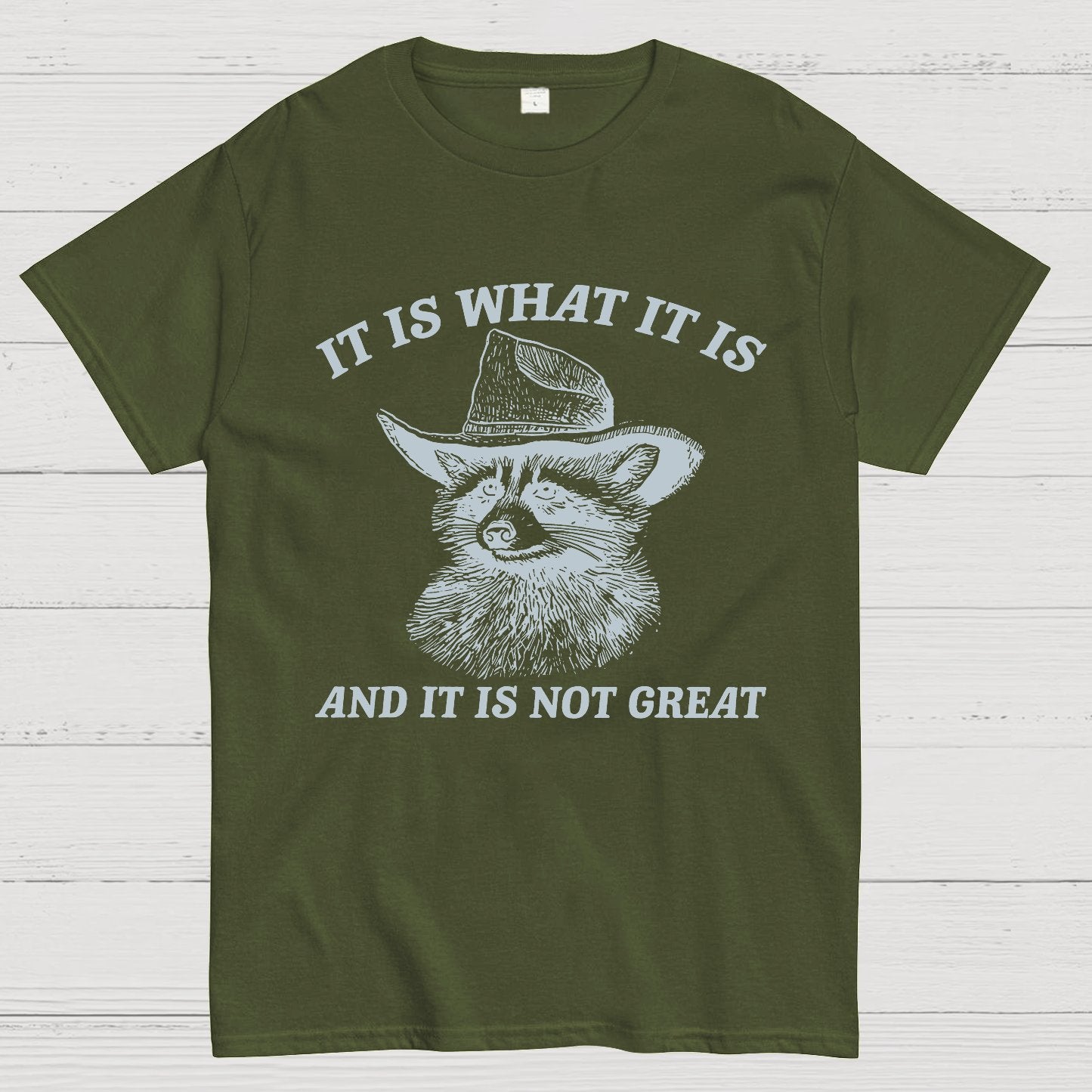 t Is What It Is And It Is Not Great Vintage Raccoon Geeky T-Shirt