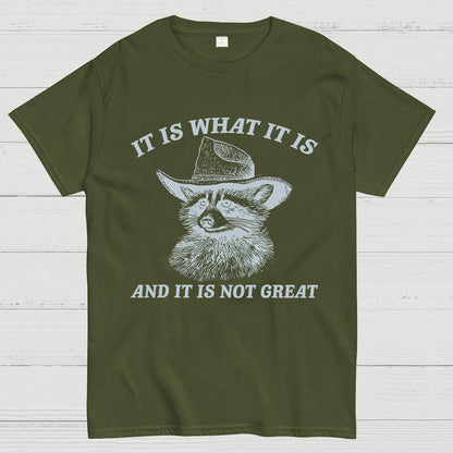 t Is What It Is And It Is Not Great Vintage Raccoon Geeky T-Shirt