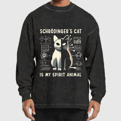 Schrodinger's Сat Science Washed Long Sleeve Tee