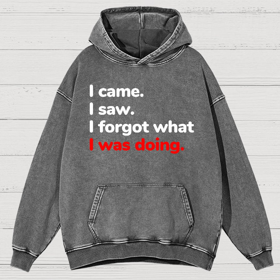 I Came. I Saw. I Forgot What I Was Doing Vintage Distressed Hoodie