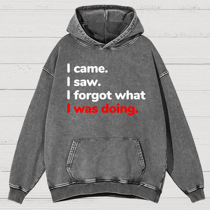 I Came. I Saw. I Forgot What I Was Doing Vintage Distressed Hoodie
