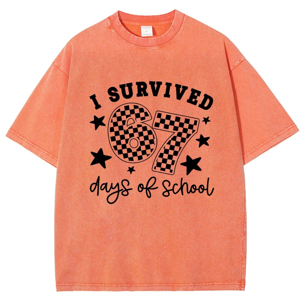 I Survived 67 Days of School Vintage Distressed T-shirt