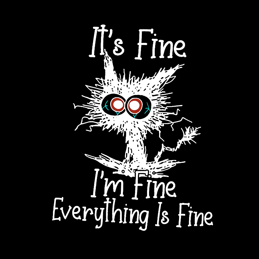 It's Fine Funny Cat Vintage Distressed Washed Tank