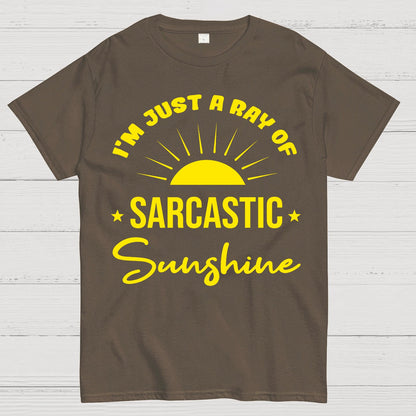 I'm Just A Ray Of Sarcastic Sunshine Funny Sarcastic Sayings Geek T-Shirt