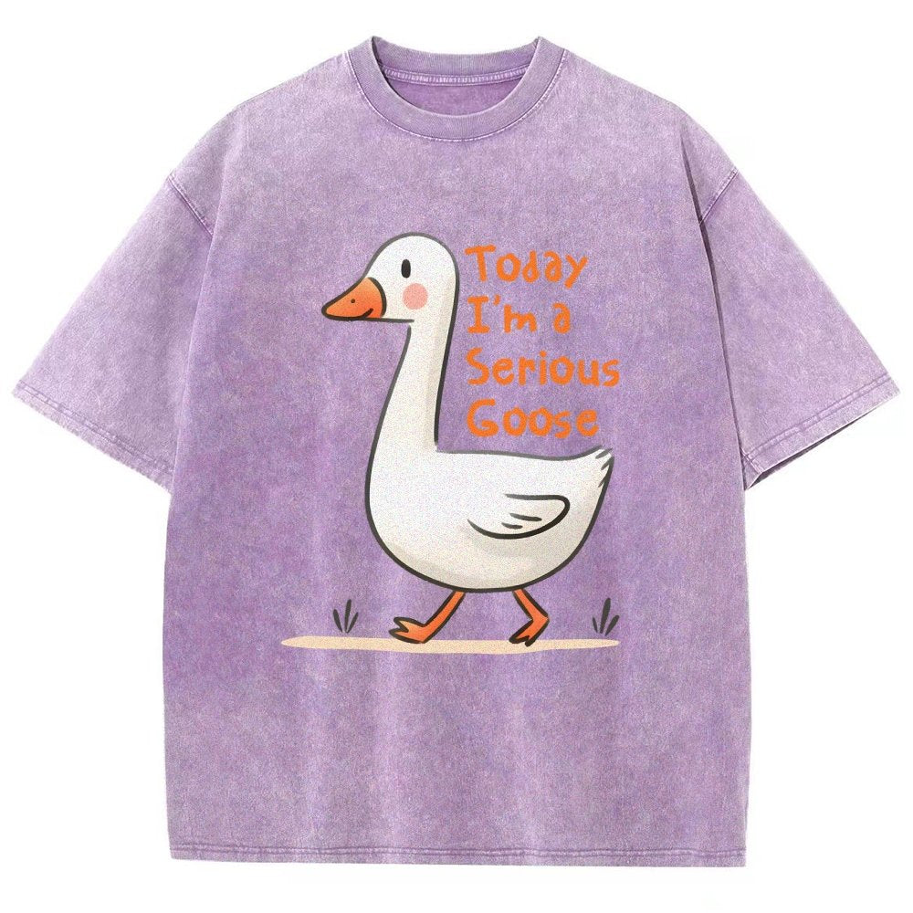 Today I’m A Serious Goose Vintage Distressed T-shirt