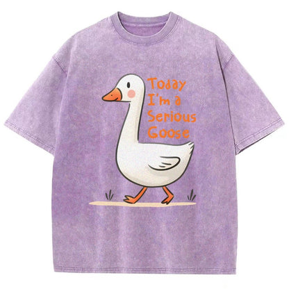 Today I’m A Serious Goose Vintage Distressed T-shirt
