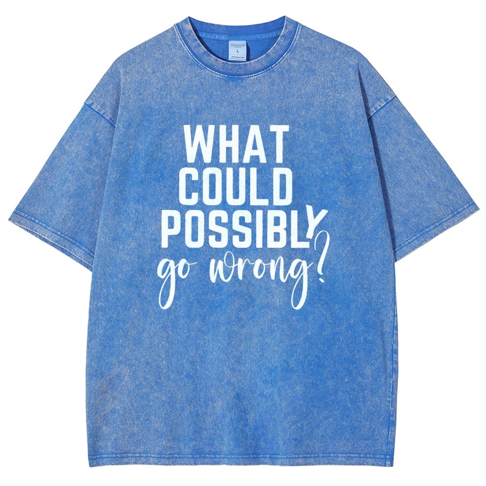 What Could Possibly Go Wrong Vintage Distressed T-shirt