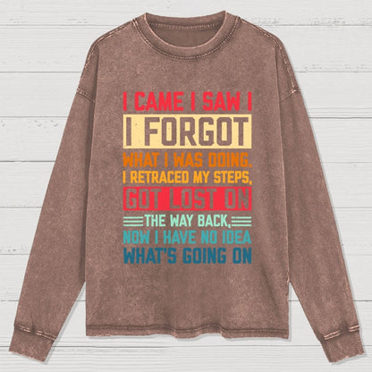 I Came I Saw I Forgot What I Was Doing Sarcastic Washed Long Sleeve Tee