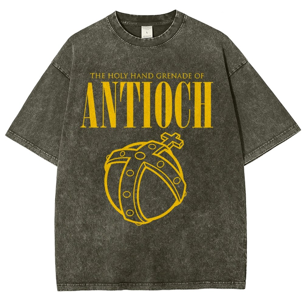 The Holy Hand Grenade of an Ancient Place Vintage Distressed T-shirt