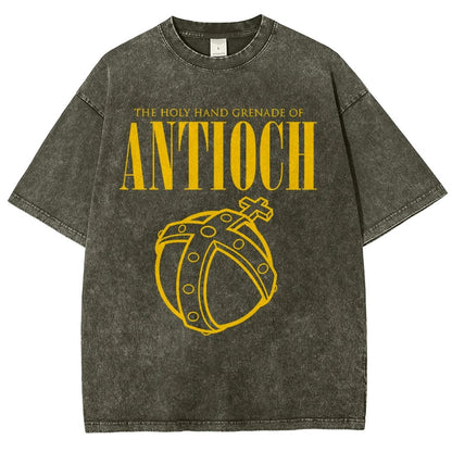 The Holy Hand Grenade of an Ancient Place Vintage Distressed T-shirt