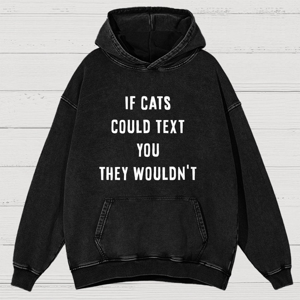 If Cats Could Text You Vintage Distressed Hoodie