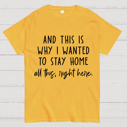 Sarcastic Introvert And This Is Why I Wanted To Stay Home Geek T-Shirt